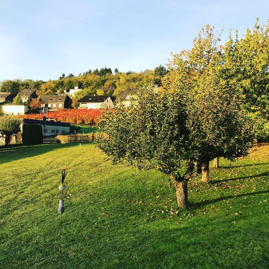 Kalverkamp Ferienwohnung Lieser Kültér fotó